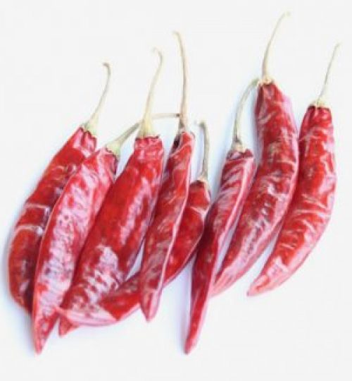 Dry Red Chilli Exports from India