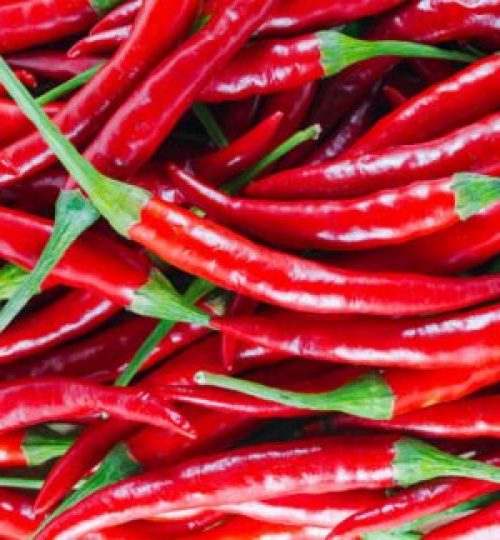 Fresh red Chillies
