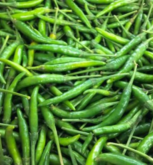 Fresh Green Chillies
