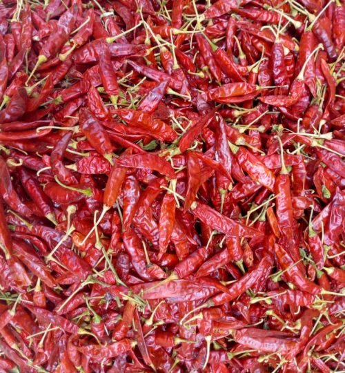 dry red chilli