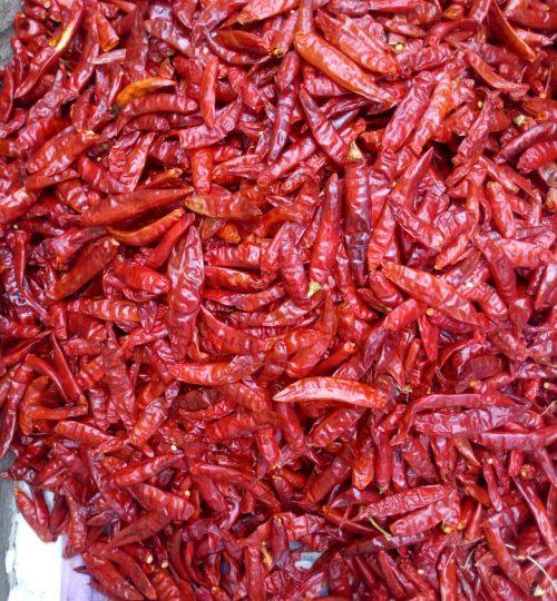 dry red chilli