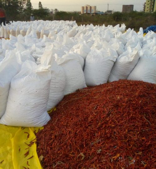 dry red chilli