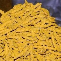 turmeric fingers